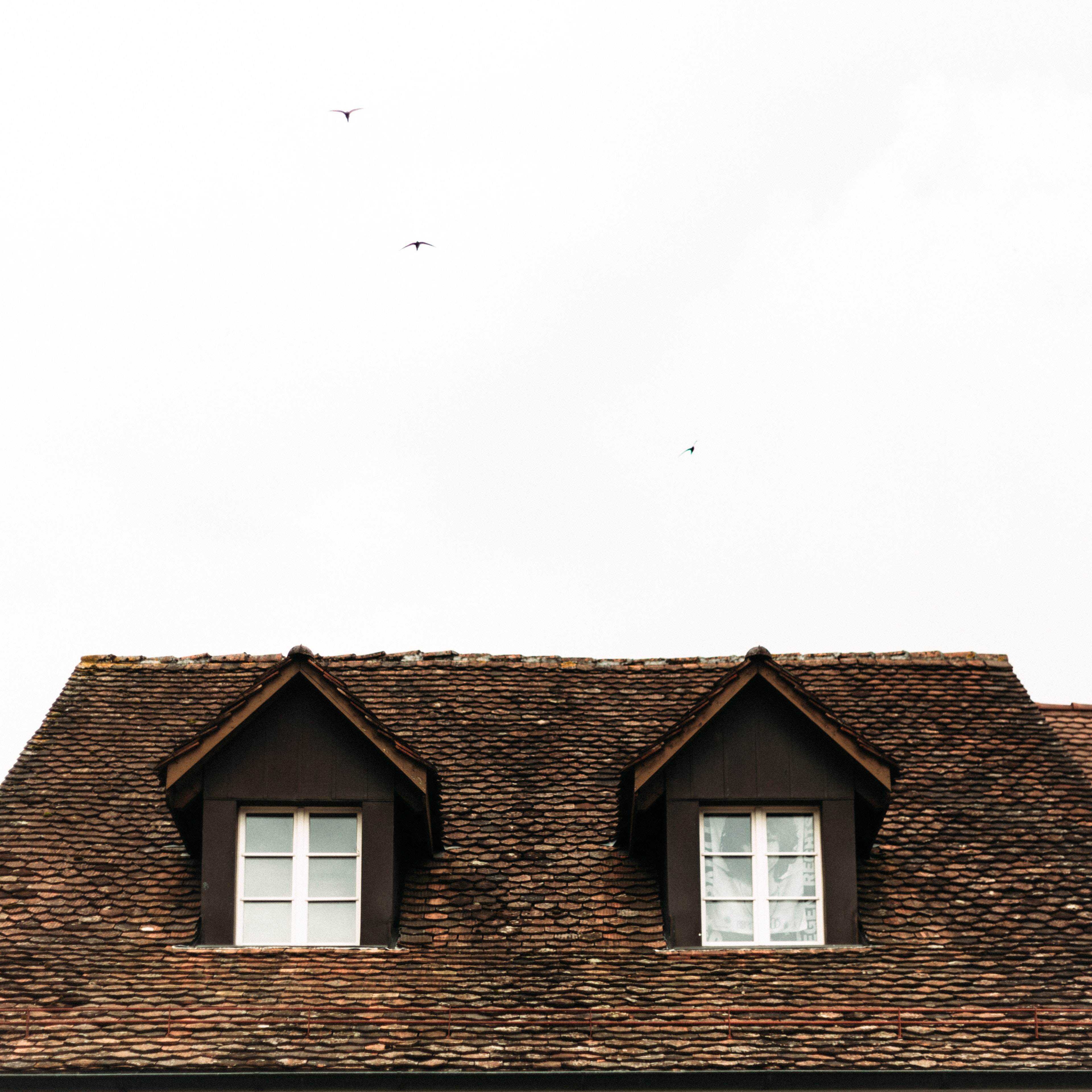 Read This Before You Apply For Travelers Roof Replacement
