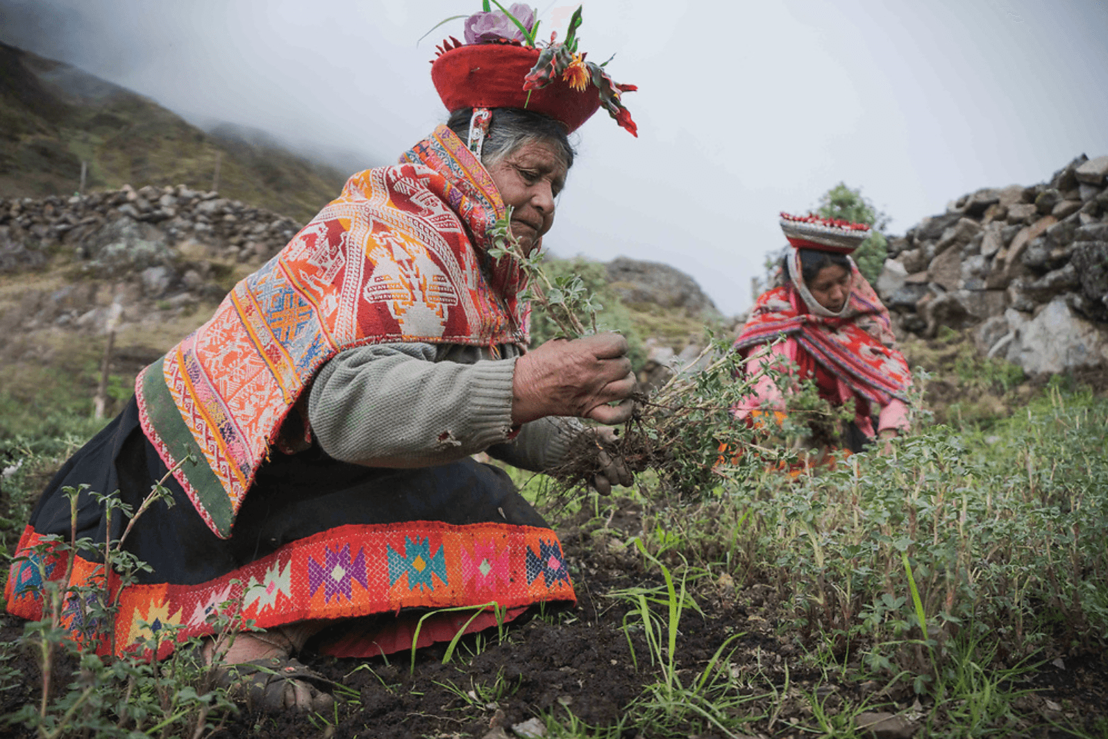 Tree Planting