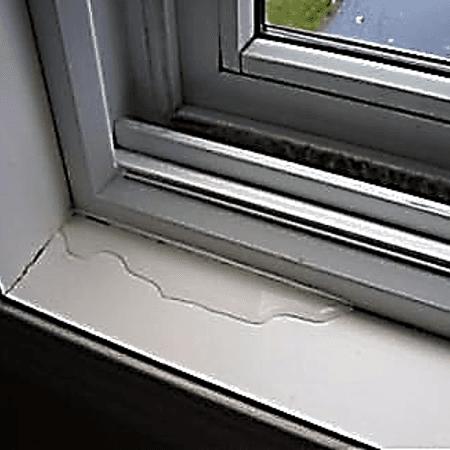 Window & Skylight Leaks